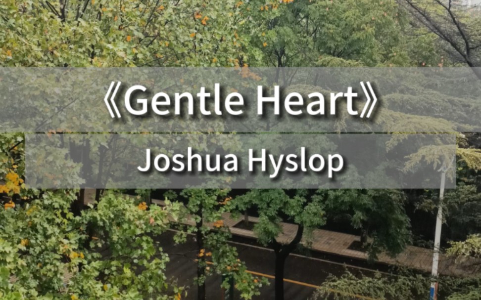 [图]陪你听一首歌: 《Gentle Heart》，Joshua Hyslop.