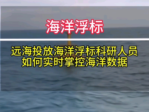 远海投放的海洋浮标数据如何实时查看哔哩哔哩bilibili