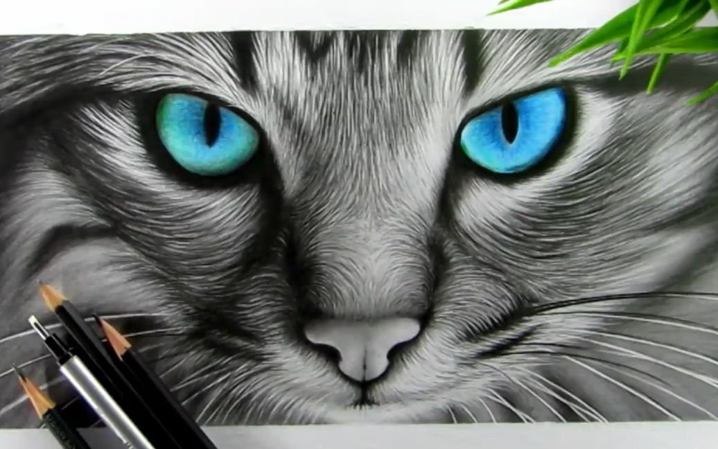 画猫的技巧教你如何画出生动的毛发素描技法学起来