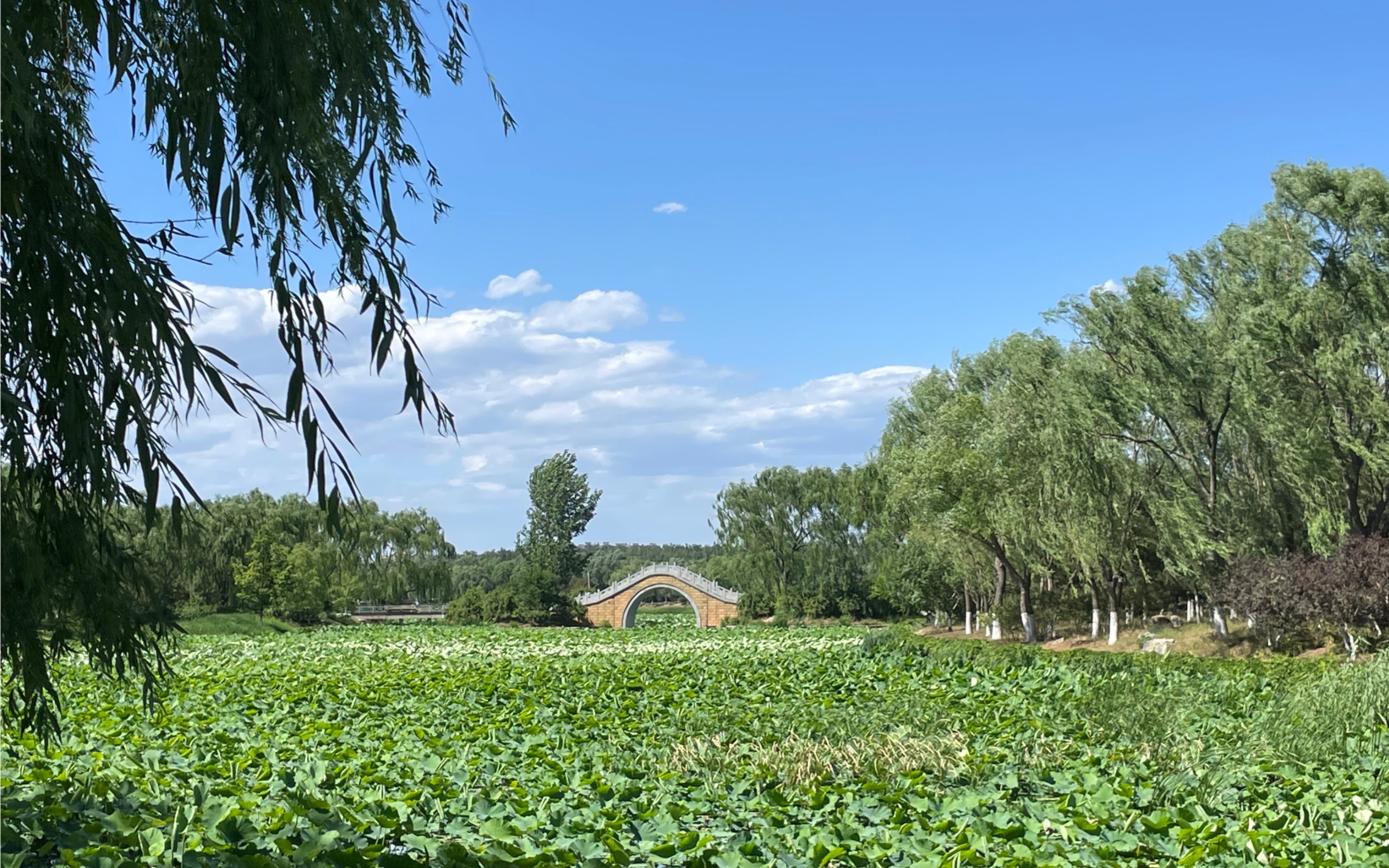 遊大運河森林公園