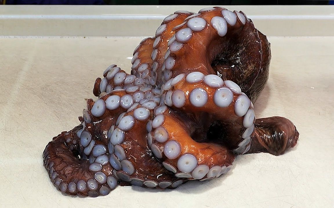 【韩国街头美食】美味的巨型章鱼和小章鱼.