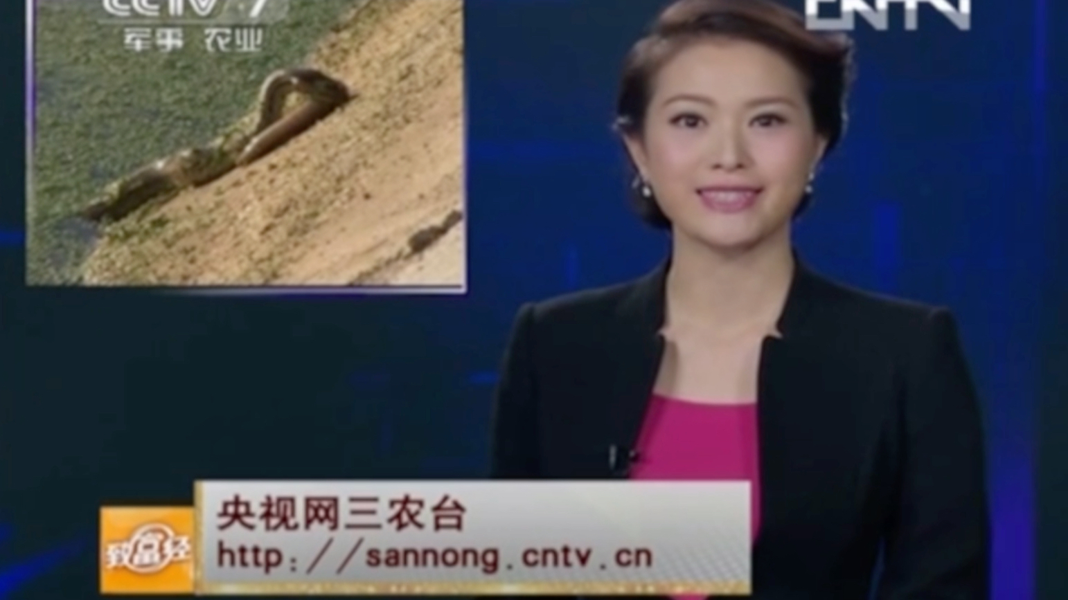 [图]［架空］cctv7致富经20130911片头片尾