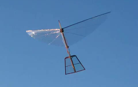 迷你舵机动力扑翼机