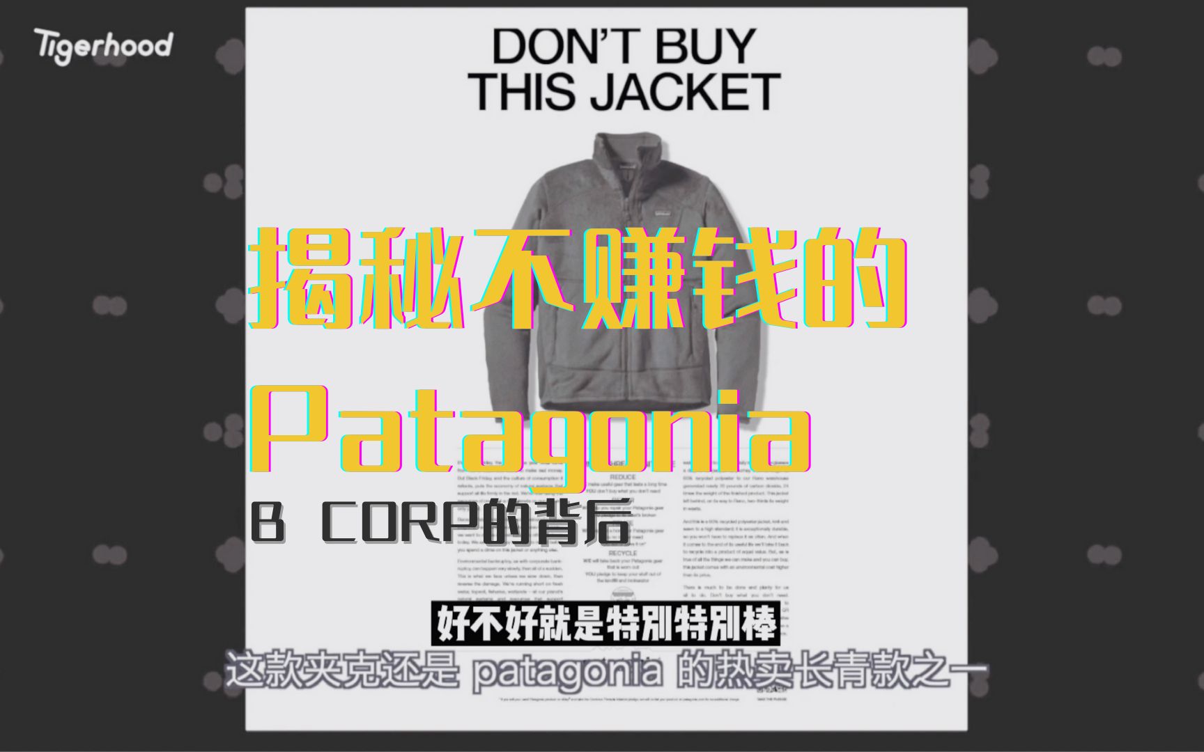 B CORP揭秘| 你身边的那些“不赚钱”的共益企业 | Patagonia| Bellroy | Allbirds哔哩哔哩bilibili