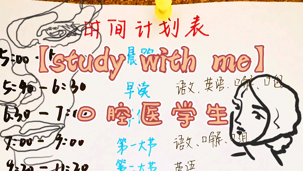 【口腔医学生】2022专升本/日常学习vlog/study with me(1)哔哩哔哩bilibili