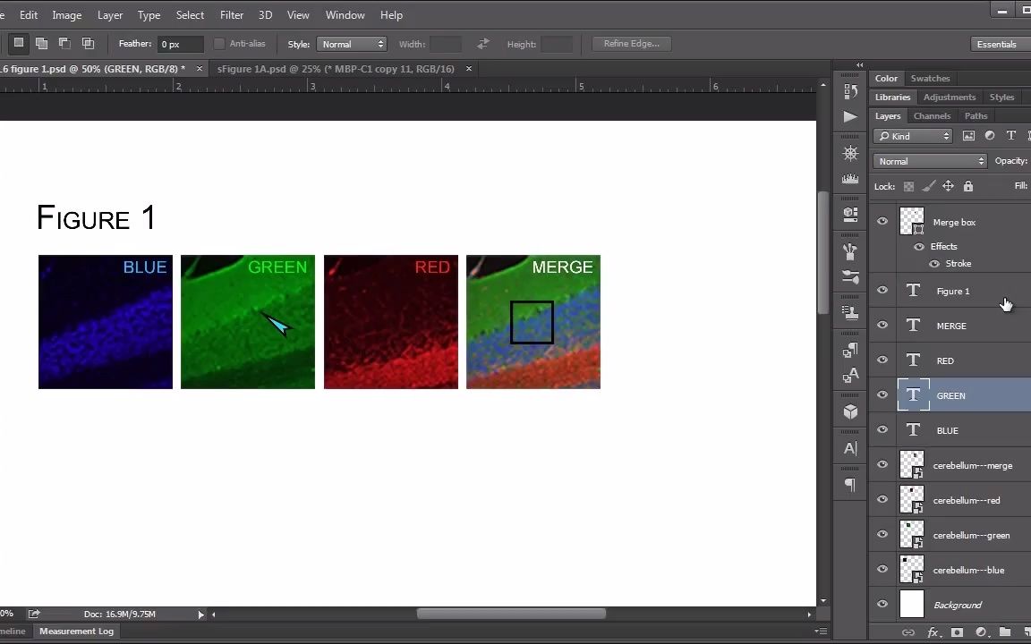 【论文拯救者】【Photoshop在科研中的应用】【初级课程】第六课:组织图层哔哩哔哩bilibili