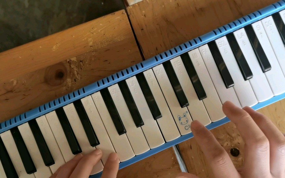 lemon口风琴初试