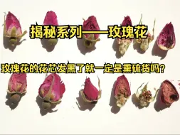 Download Video: 揭秘系列——玫瑰花：玫瑰花的花芯发黑了就一定是熏硫货吗？