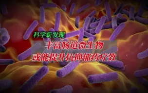 Download Video: 丰富肠道微生物或能提升抗抑郁药疗效