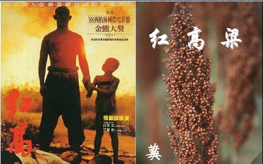 有声书《红高粱家族》——诺奖得主莫言代表作|张艺谋电影原著|传奇爱情与血性抗争哔哩哔哩bilibili