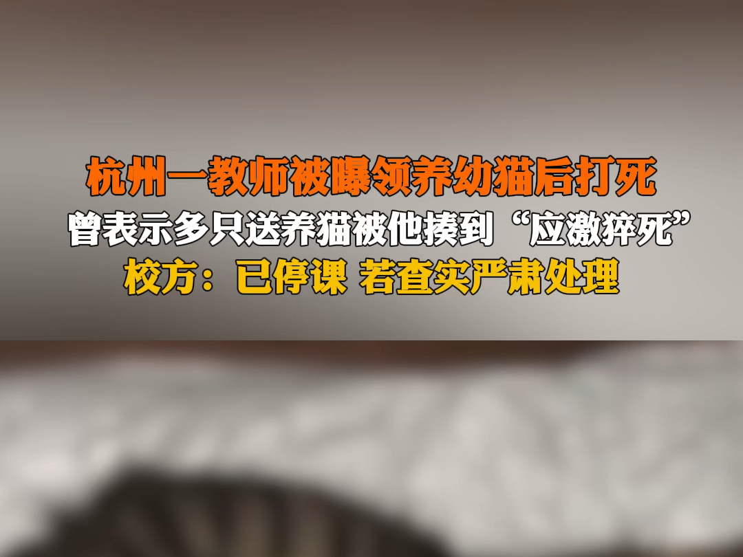 6月27日报道,杭州一教师被曝领养幼猫后打死,曾表示多只送养猫被他揍到“应激猝死”,校方:已停课,若查实严肃处理. #校方回应一小学教师被曝虐...