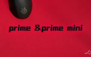 【水·赛睿 prime&prime mini】和卓威 EC23 的模具对比