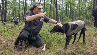 下载视频: 「穿越汗马｜从草原到森林」· 猎犬乌