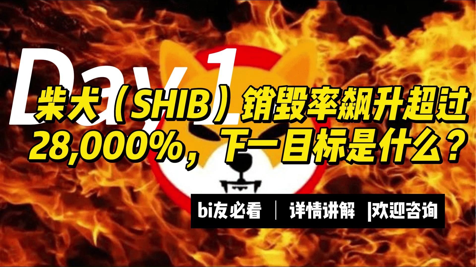 柴犬(SHIB)销毁率飙升超过 28,000%,下一目标是什么?哔哩哔哩bilibili