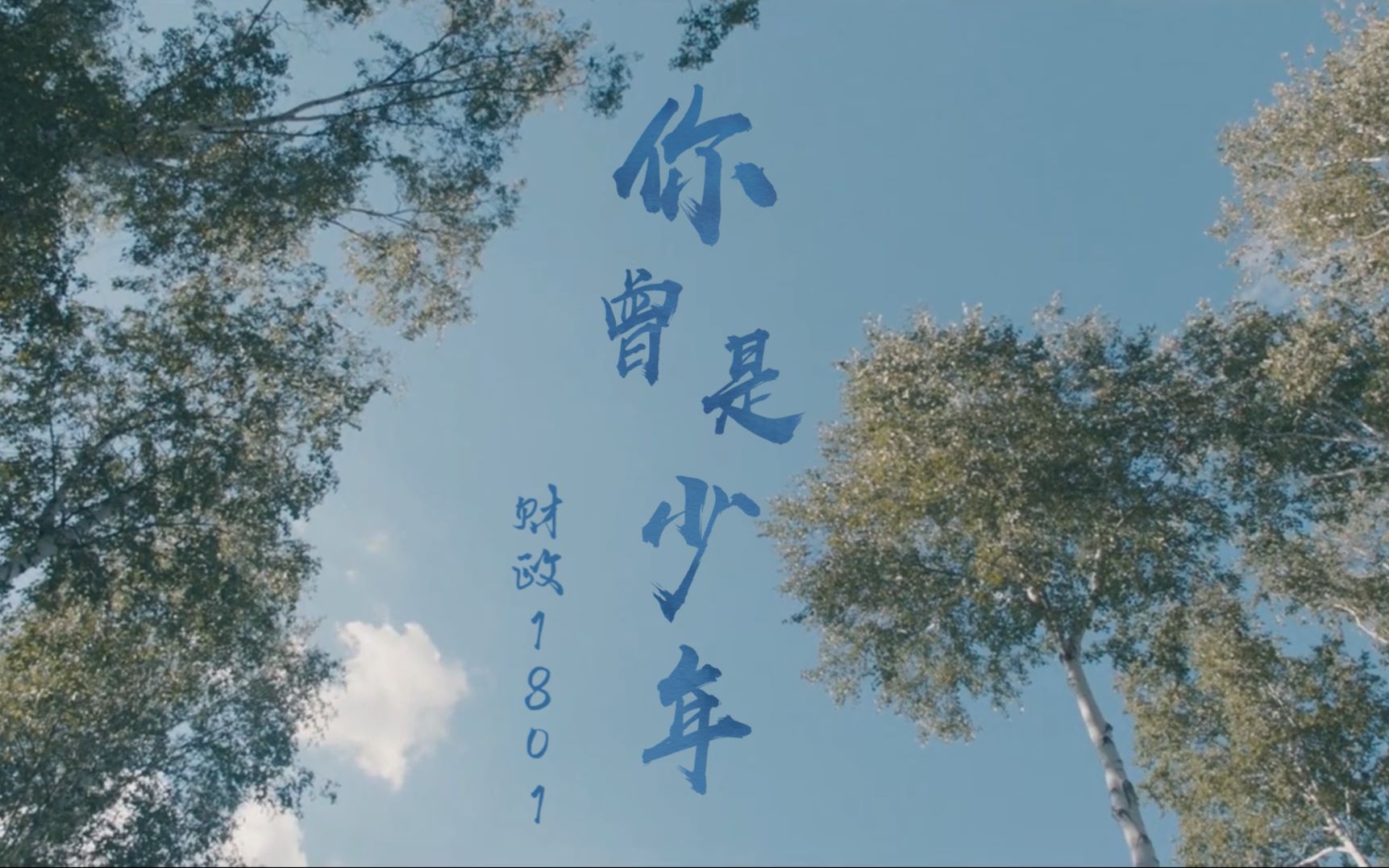 《你曾是少年》