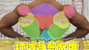 亚洲冠军教你如何练背？