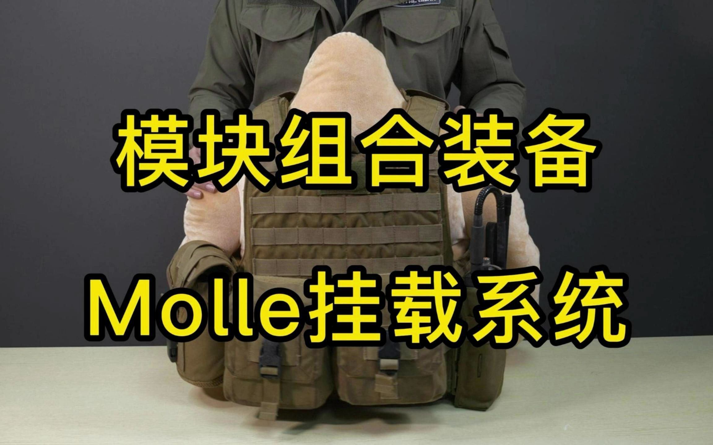 MOLLE/PALS模块化挂载系统简介 战术装备入门系列哔哩哔哩bilibili