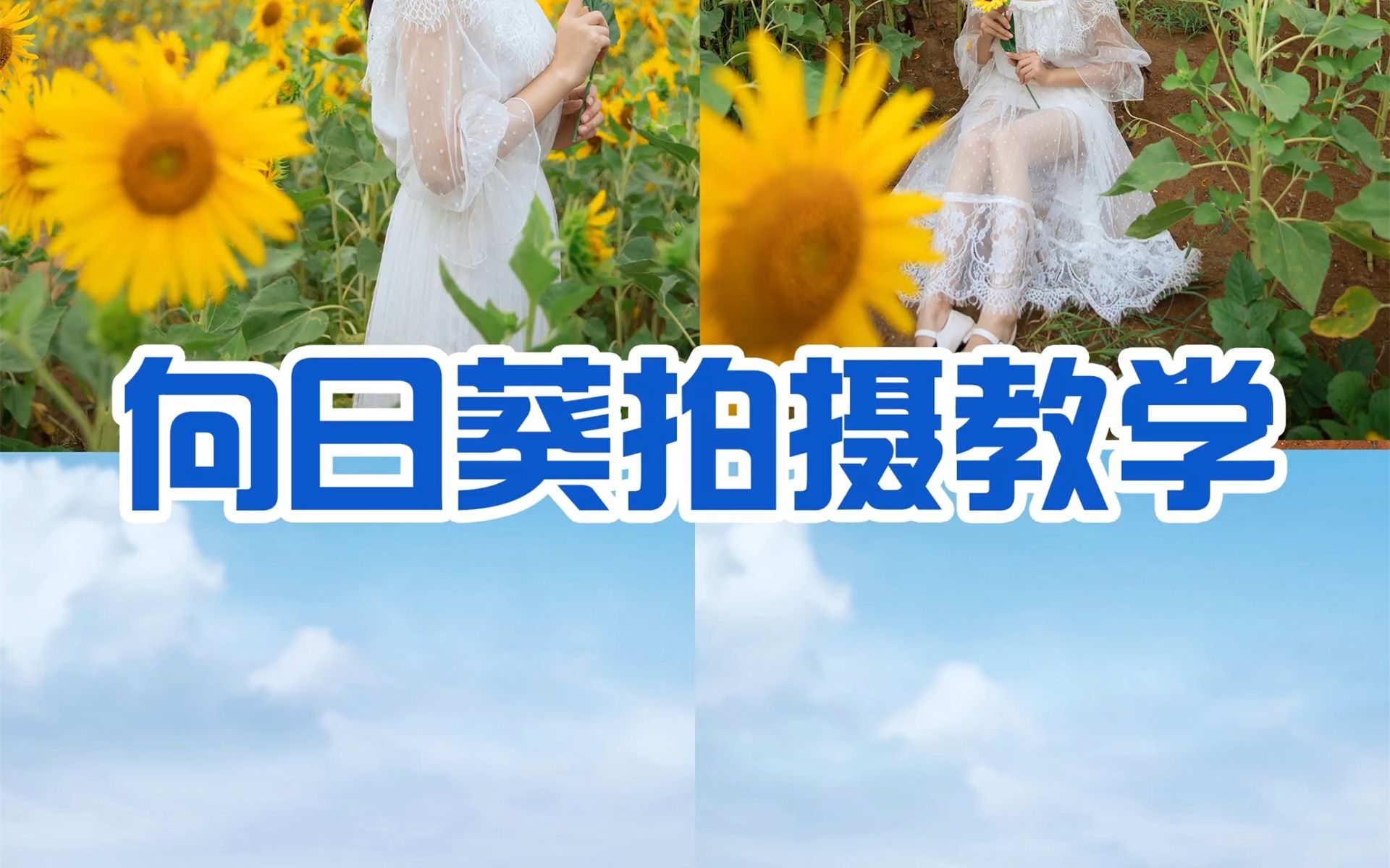 向日葵花海拍摄技巧丨合肥向日葵花海哔哩哔哩bilibili