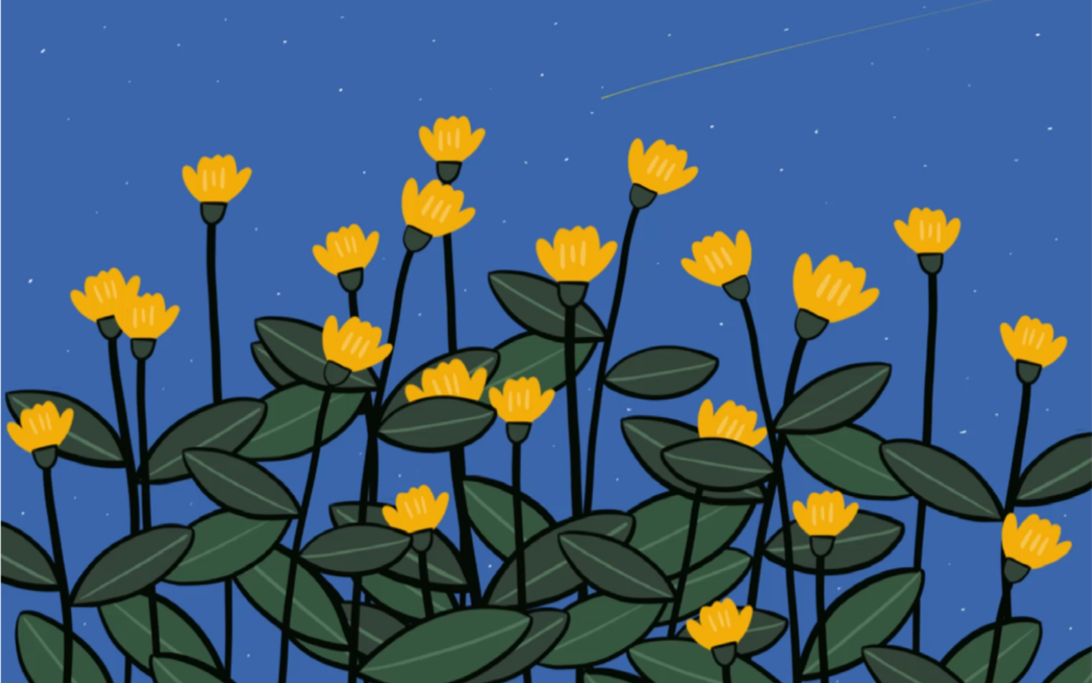 【手绘插画】夜晚,星空下的小花朵静静盛放