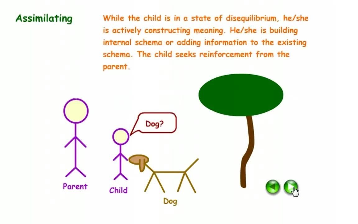 (早期教育)Illustration of Schema, Assimilation, & Accommodation哔哩哔哩bilibili