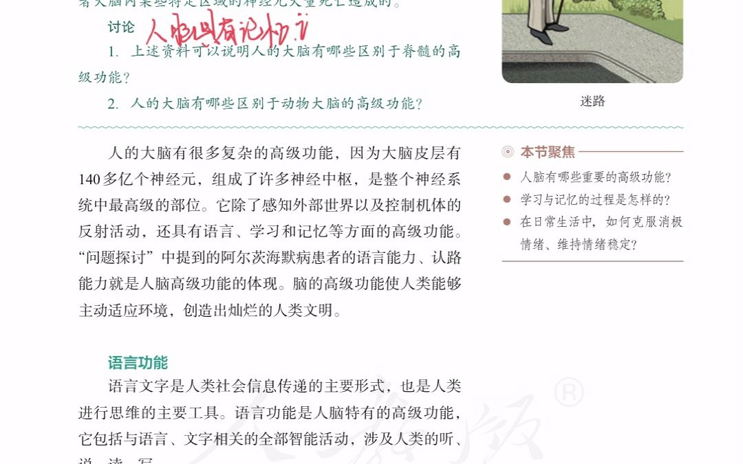 [图]2.5 大脑的高级功能