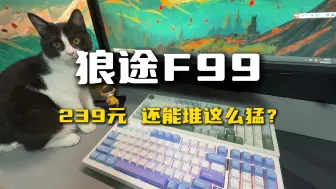 Download Video: 拒绝尬吹！239起的狼途F99到底怎么样？