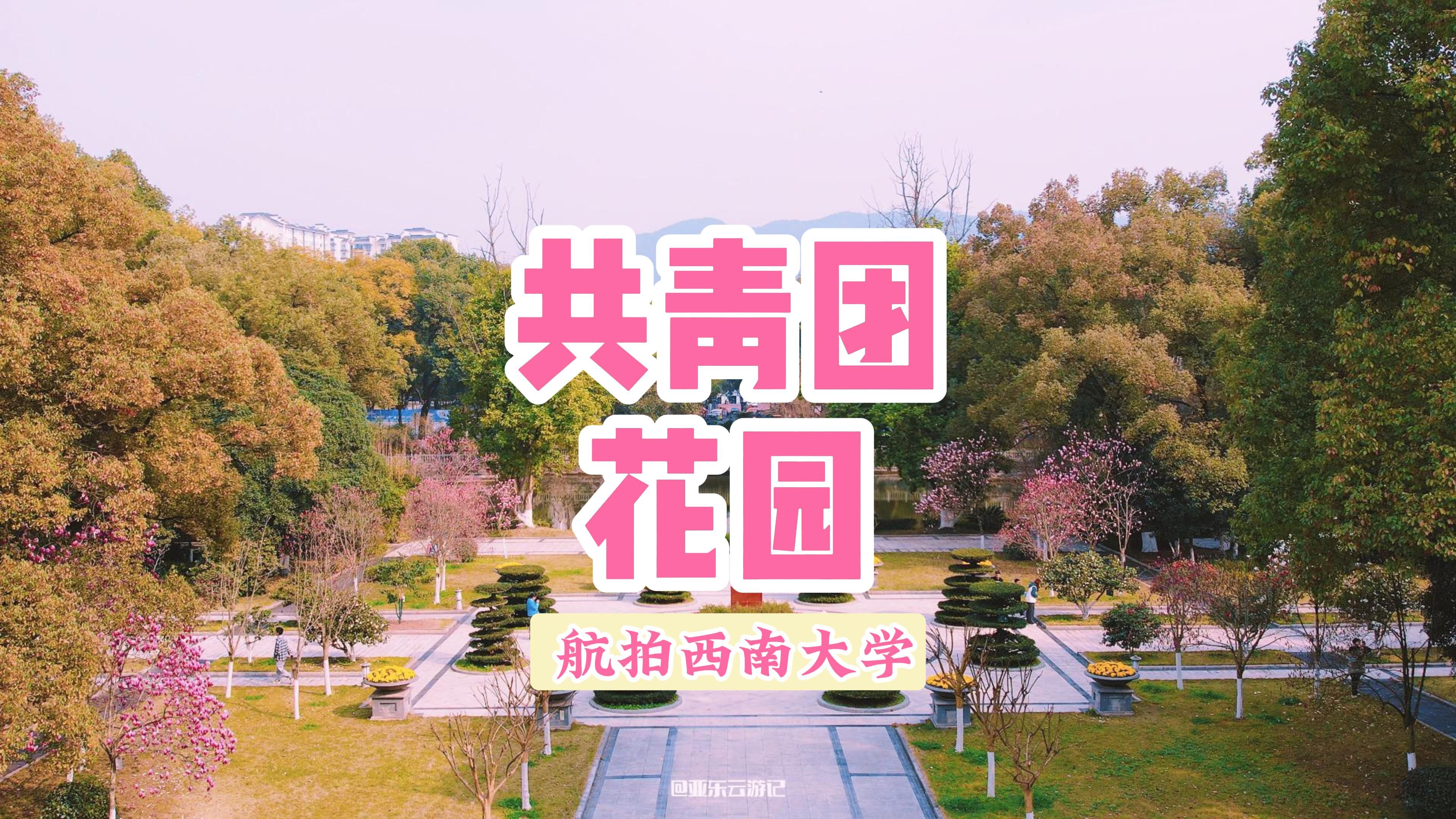 共青团花园的满园春色|4K航拍西南大学哔哩哔哩bilibili