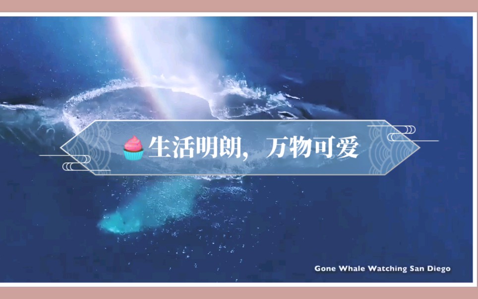 活动作品07生活明朗万物可爱按时长大