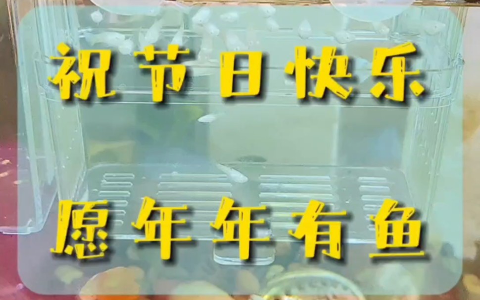 鱼生财,水镇宅,有鱼有水福自来.水为财,鱼为灵!鱼儿乃瑞祥之兆,富贵漫天,财运享通.哔哩哔哩bilibili