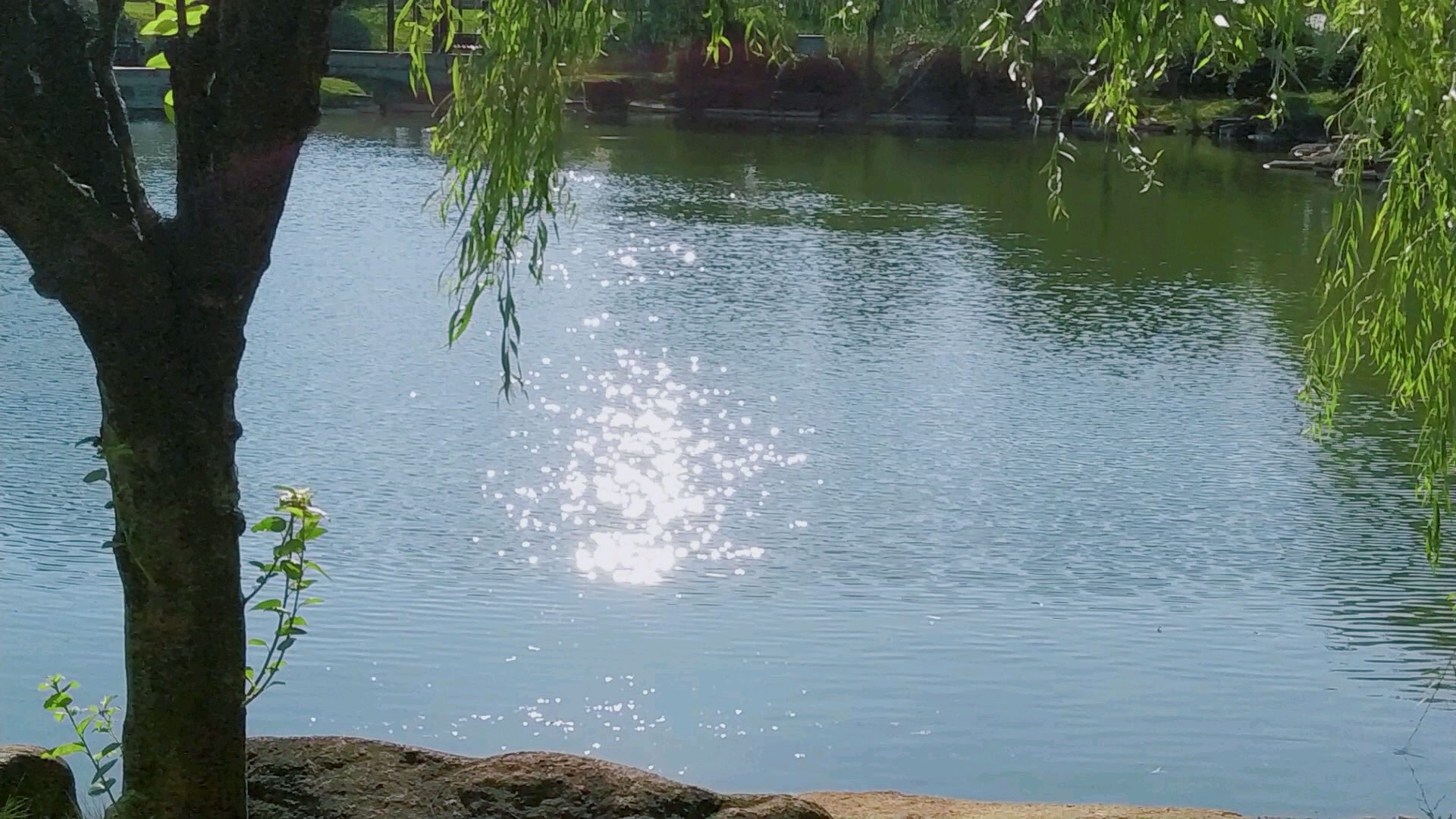 进来感受夏天的凉风吧