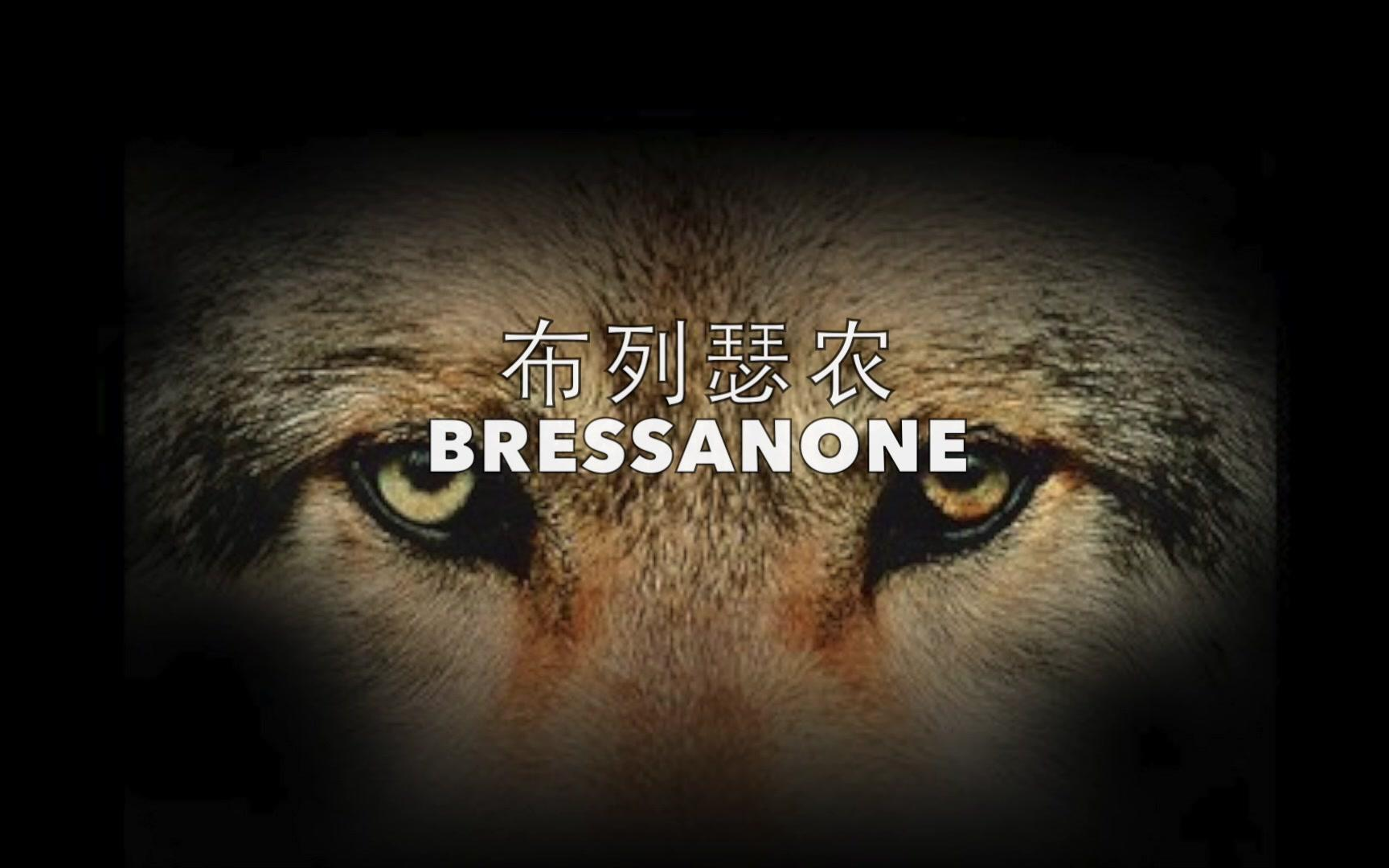 [图]世界名曲《Bressanone布列瑟农》，听一遍感动一辈子！