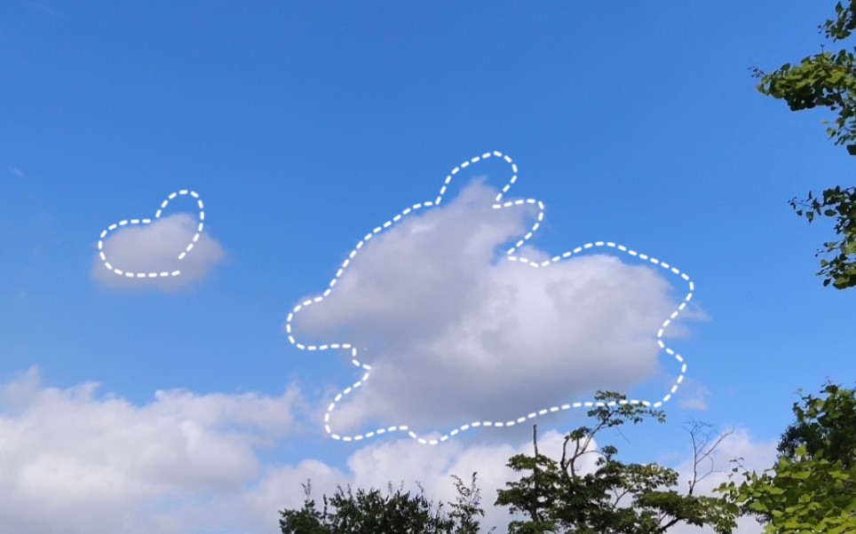 捕捉一只云朵兔子