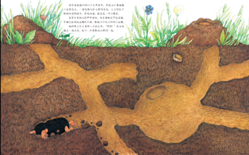 绘本故事《小鼹鼠嘉宝》