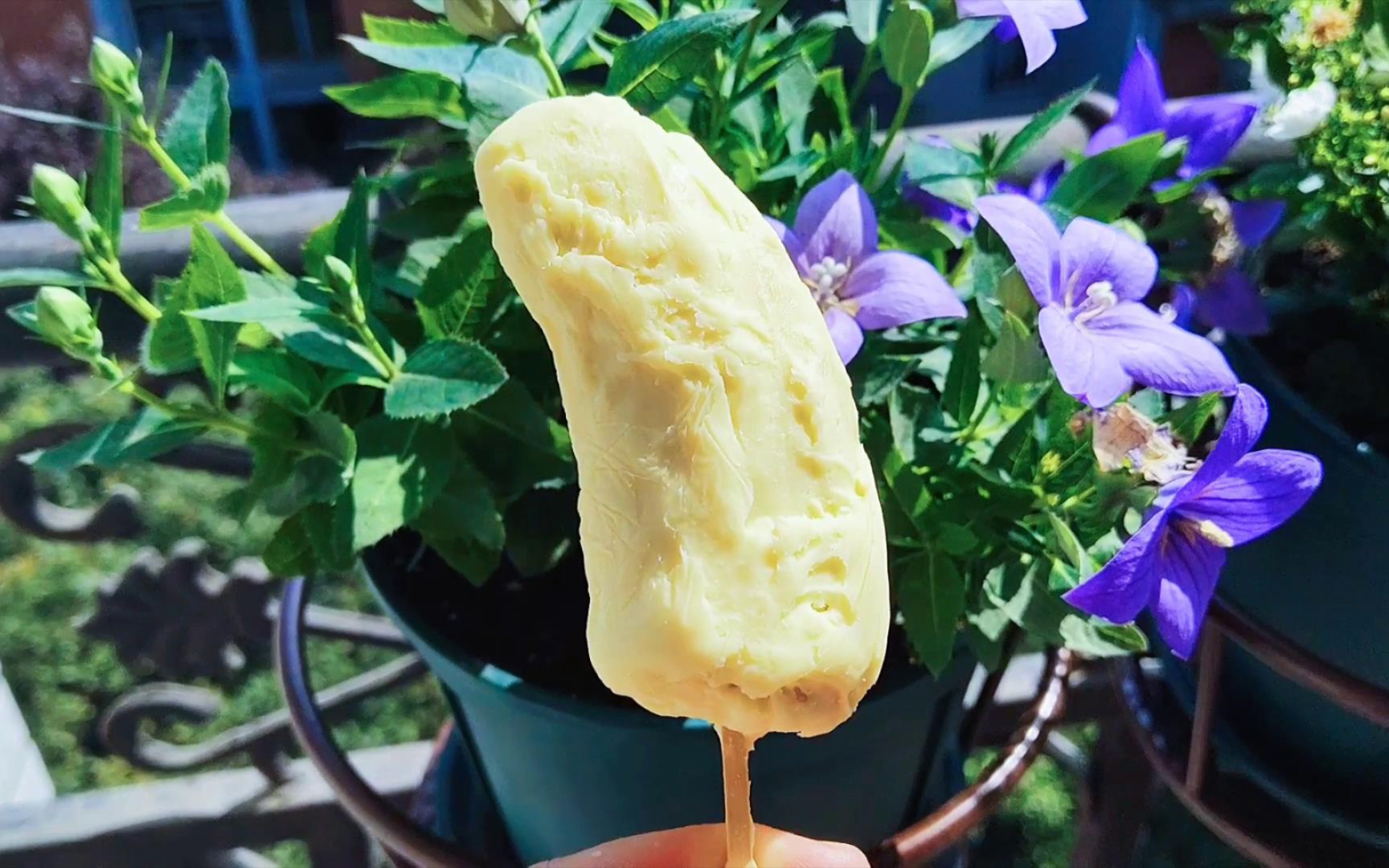 初夏,在家做纯天然好吃的脆皮水果雪糕,做法简单