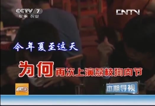 [图]聚焦三农 《聚焦三农》 20130629 广西玉林狗肉节的风波