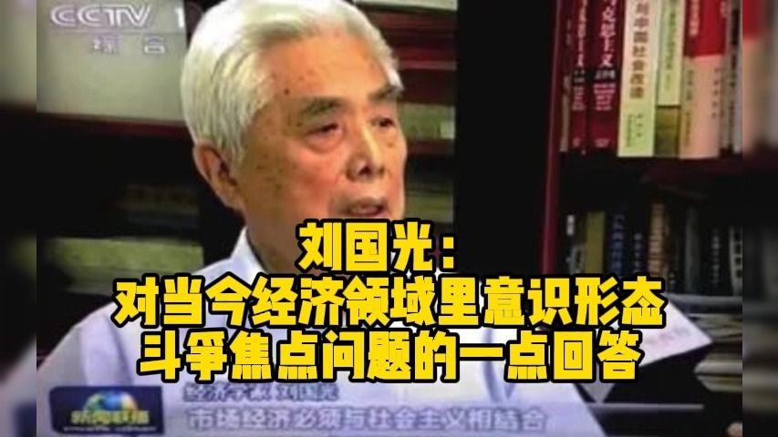 刘国光:对当今经济领域里意识形态斗争焦点问题的一点回答哔哩哔哩bilibili