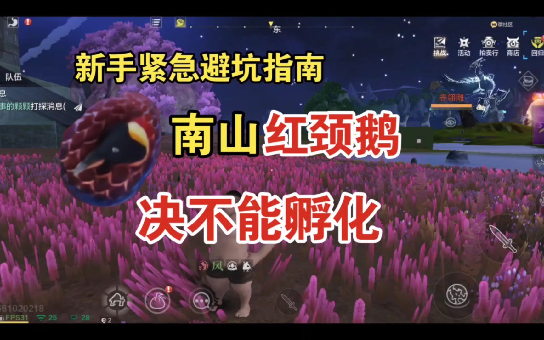 妄想山海:新手避坑指南,南山红颈鹅千万别孵化!虽然他会扔q币.