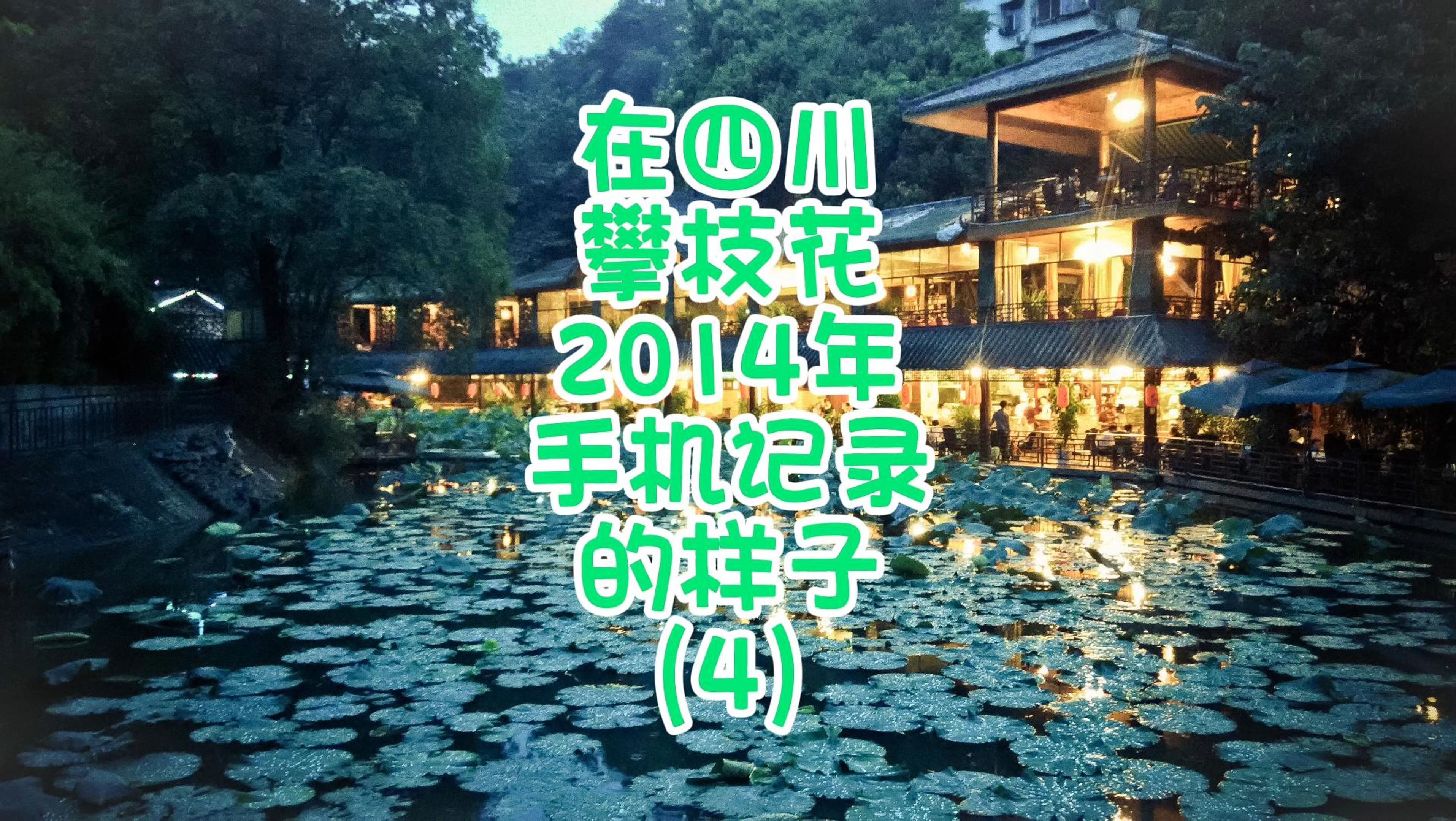 在四川攀枝花2014年手机记录的样子(4)哔哩哔哩bilibili