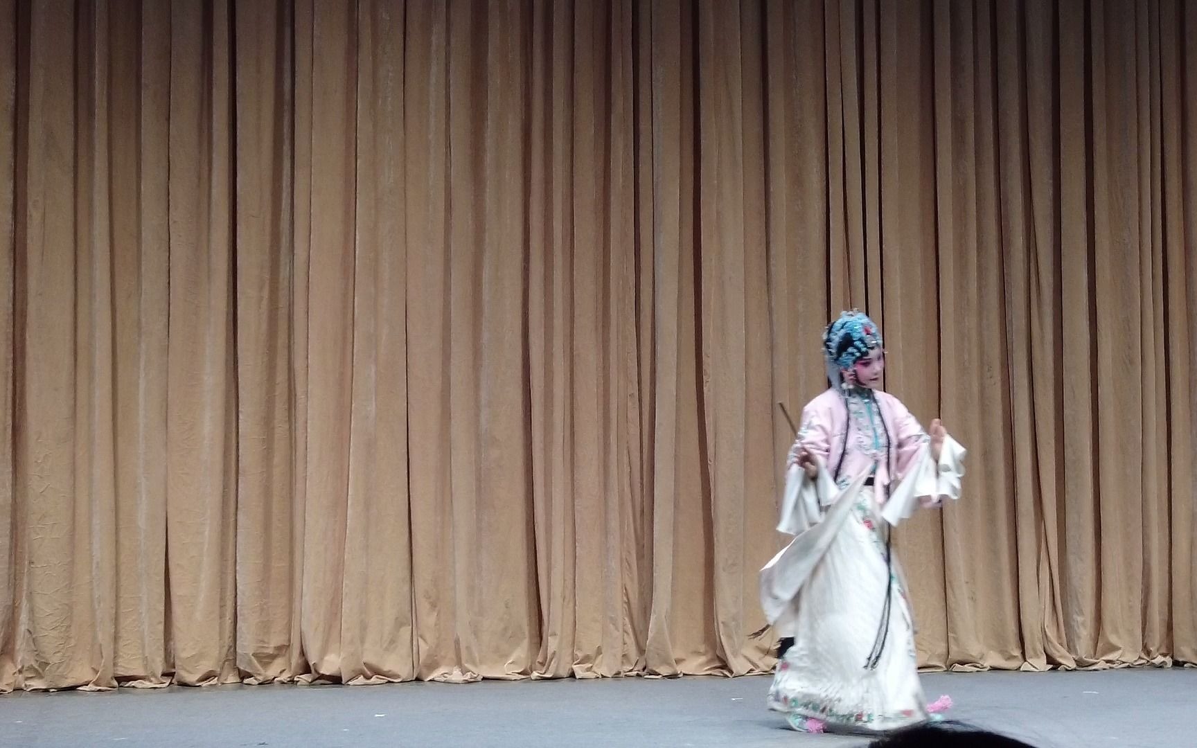 【北京大学京昆社】游园惊梦皂罗袍 山坡羊(三十周年社庆亲友拍摄片段