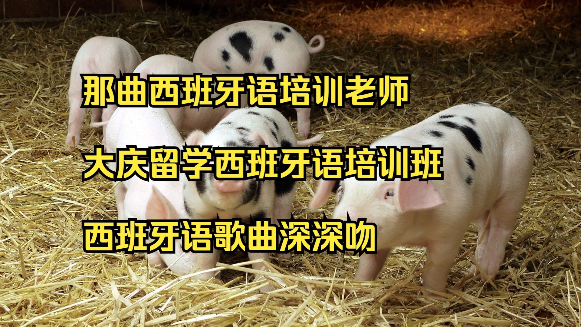 西班牙留学培训机构留学须知