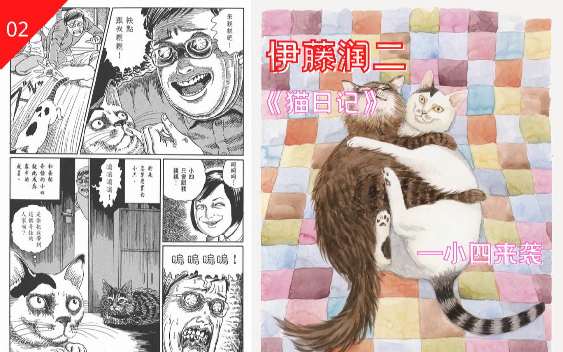 [图]被诅咒的妖猫来我家了！恐怖漫画家和猫咪的故事，伊藤润二漫画《猫日记》第二话——小四来袭