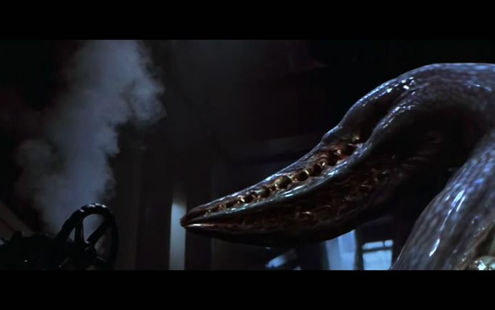 惊悚重口这是王蛇巨蟒还是深海巨鳗猜猜这是什么电影