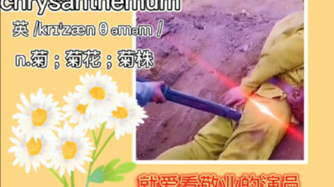 Allen英语 就爱看敬业的演员 Chrysanthemum 菊花 哔哩哔哩