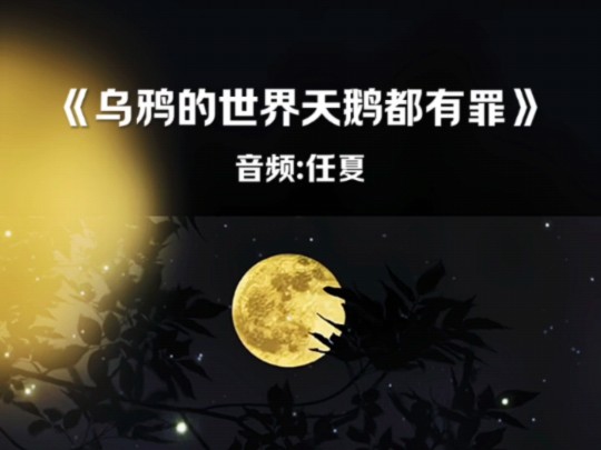 音乐《乌鸦的世界天鹅都有罪》哔哩哔哩bilibili