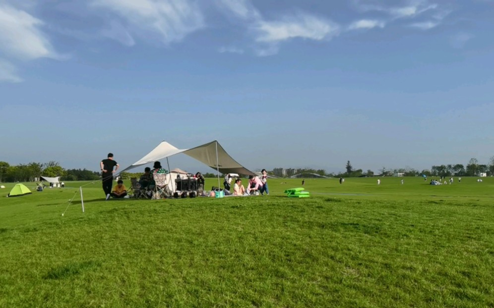 衢州西区大草原