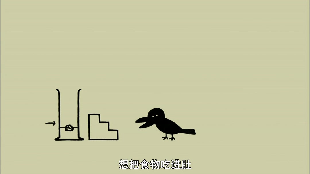 [图]思考的乌鸦 Think Like a Crow! 学会思考