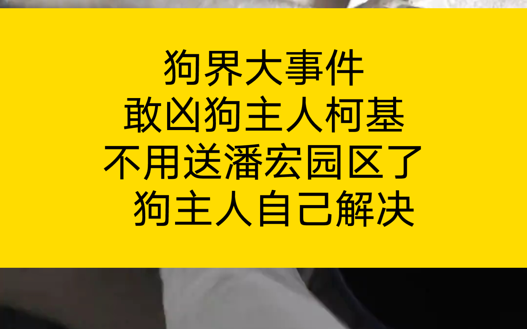 狗界大事件 敢凶狗主人柯基 不用送潘宏园区了 狗主人自己解决哔哩哔哩bilibili