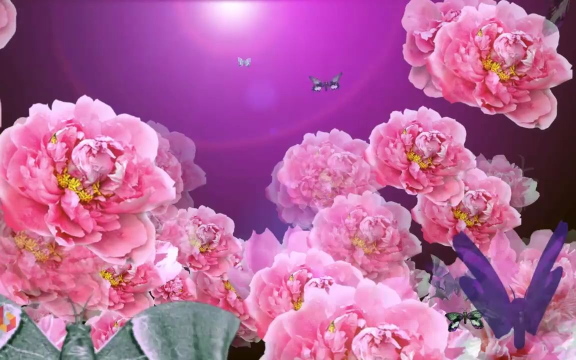 c269女人花 旗袍秀舞蹈演出led大屏背景视频素材