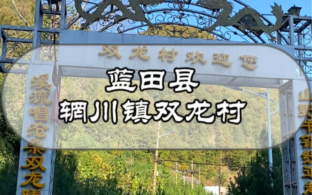 蓝田县辋川镇双龙村哔哩哔哩bilibili