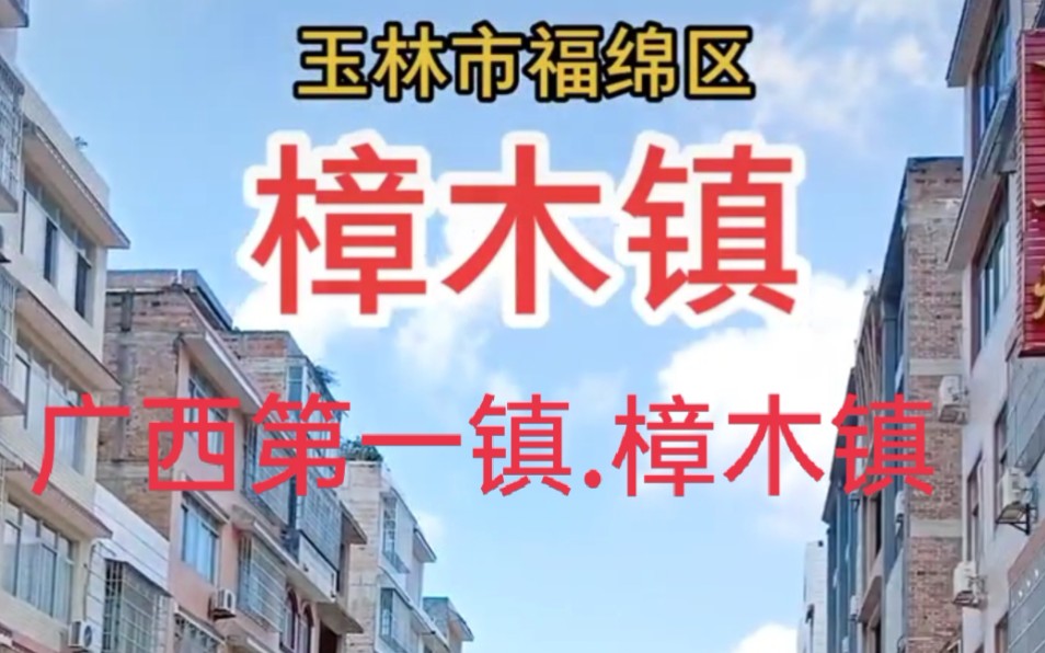 广西第一镇.樟木镇哔哩哔哩bilibili